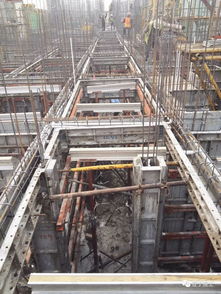 中天建設(shè)預(yù)制裝配式施工現(xiàn)場觀摩 亮點逐一呈現(xiàn)